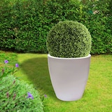 thumbnail of WellHome - Blumentopf aus Rotationsgeformtem Polyethylen 40L Ø40x40cm in der Farbe Weiß - Top garden Accord