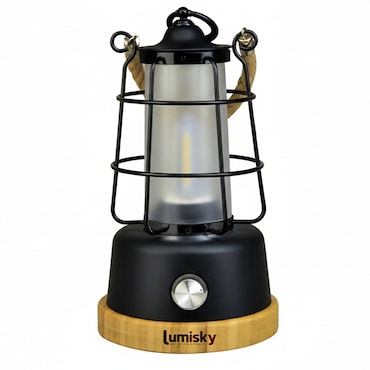 Lumisky Linterna inalámbrica WILDY H23CM Acero Negro