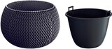 thumbnail of Prosperplast - Runde Pflanztöpfe mit Reservoir Splofy Bowl aus Kunststoff in Anthrazit, 23,9 x 23,9 x 16,1 cm