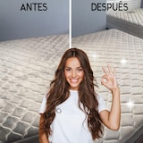 thumbnail of Limpiador de Tapicerías para Máquinas de Inyección – Calidad Profesional – Elimina Manchas y Olores en Tapicerías, Sofás y Alfombras – Garrafa 5L