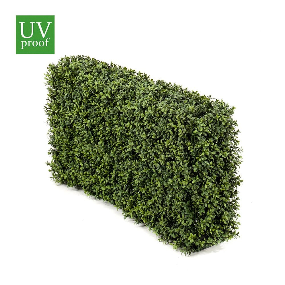 Seto de Boj XL de 100x20x50 cm con tratamiento UV de exterior.