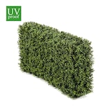 thumbnail of Seto de Boj XL de 100x20x50 cm con tratamiento UV de exterior.