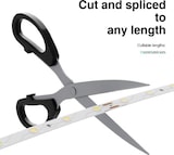 thumbnail of LED-Streifen 8W/MT 24V 1093 lm/m 6000K - 5 Meter Spule IP20