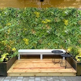 thumbnail of Bonerva | Jardín Vertical Artificial Menorca | Reacción al fuego clase "B" | Pieza 100x100cm (1m²) | Planta artificial para HORECA| MAL1222