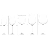 thumbnail of Zwiesel Glas VUELO Wein- und Champagnergläserset 10-teilig