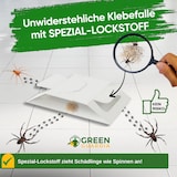 thumbnail of Spinnen Falle mit Spezial-Lockstoff: 15