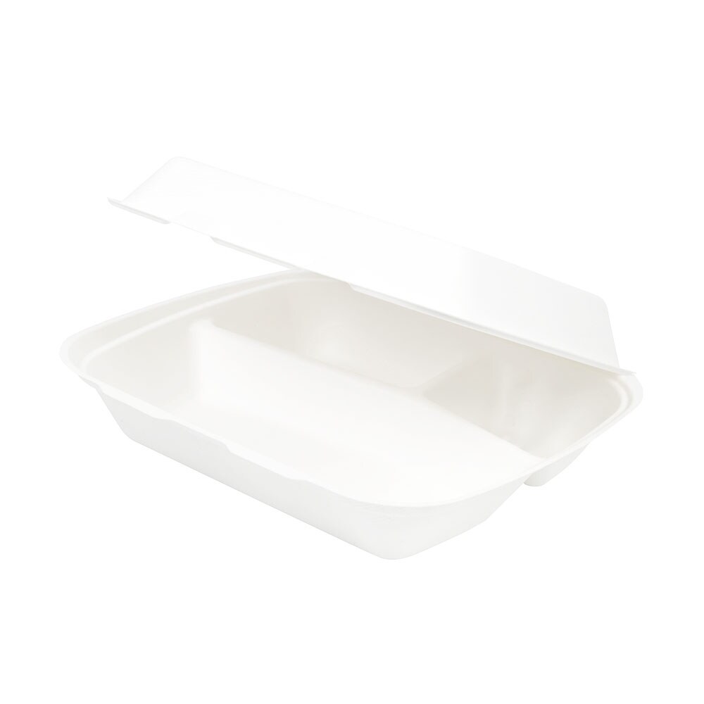 BIOZOYG 50 Stück Menüboxen 25 x 20 x 7,5 cm 3-geteilte Menüschalen aus Zuckerrohr Bagasse, Speisebehälter, Lebensmittelboxen, Verpflegungsboxen