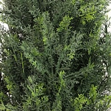 thumbnail of Planta artificial / árbol artificial CEDRUS 152 cm verde hjh OFFICE