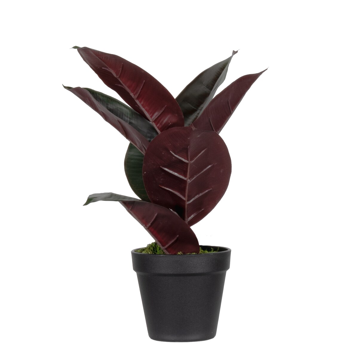 Paperflow pianta artificiale ficus elastica