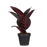 thumbnail of Paperflow pianta artificiale ficus elastica