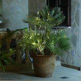 thumbnail of LED Draht Lichtbündel Pflanzenbeleuchtung Blumenstrauß 8 Stränge 100cm silber