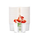 thumbnail of DeinPack Eisbecher 25 Stück Speisebecher weiß unbedruckt 400 ml runde