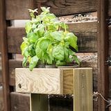 thumbnail of HORTALIA Jardinera vertical Stand Line Wall 3B en madera tratada para exterior