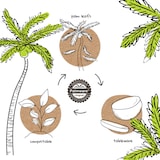 thumbnail of BIOZOYG 10 Stück runde Einwegschalen Palmblattschalen 3000ml für Partys, umweltfreundliches Biogeschirr, Einmalgeschirr, biologisch abbaubar