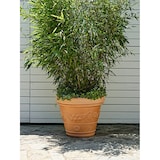 thumbnail of Tera Vase große Festonato in Harz, große Vase in Terracotta-Optik mit Dekor, für Innen und Außen, Größe 80 cm