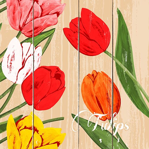 PAPSTAR 50 Servietten, 3-lagig 1/4-Falz 40 cm x 40 cm "Blooming Tulips"