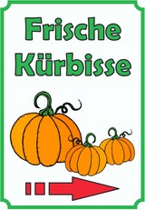 thumbnail of Verkaufsschild Schild Kürbis Hochkant mit Pfeil rechts A3 (297x420mm)