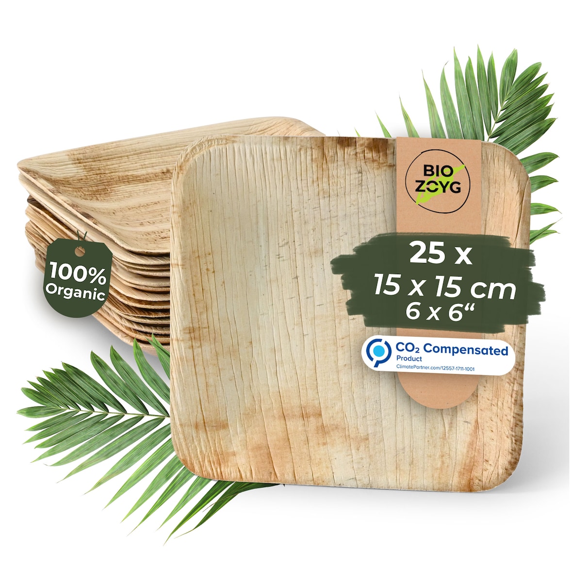 BIOZOYG 25 Stück Einwegteller 15x15cm Palmblatt-Teller, quadratisch, biologisch abbaubar, umweltfreundlich, kompostierbar, Wegwerfteller