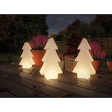 thumbnail of Paulmann Plug & Shine Set LED Lichtobjekt Tree + Star IP67 3000K 2,8W Weiß 5022