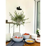 thumbnail of Ritzenhoff & Breker Alicante Suppenteller ø 21 cm 6er Set - Grün