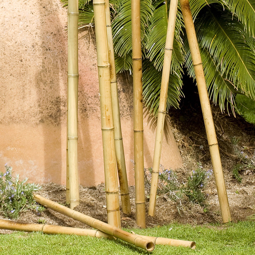 Tutor BAMBU decoración  BAMBOO DECO Ø35-40mm x 1,8m NATURAL