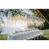 thumbnail of METRO PROFESSIONAL Chaise de restaurant empilable, plastique, blanc