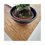 thumbnail of Ócrea Quadratischer Tisch aus massiver Eiche | 4-Fuß-Tisch