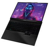 thumbnail of Captiva Notebook Advanced Gaming I84-747 i9-14900HX (15.3", 32GB, 2TB SSD, GeForce RTX4060 8GB, w/o OS)
