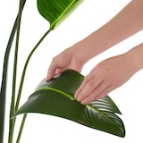 thumbnail of tectake Pianta artificiale strelitzia Tropic, realistica - 405606