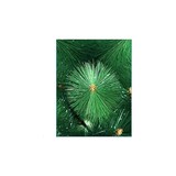 thumbnail of Arbol de Navidad 1,80 Pino Verde Clasico