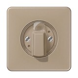 thumbnail of Jung Abdeckung CD 1541 GB CD1541GB