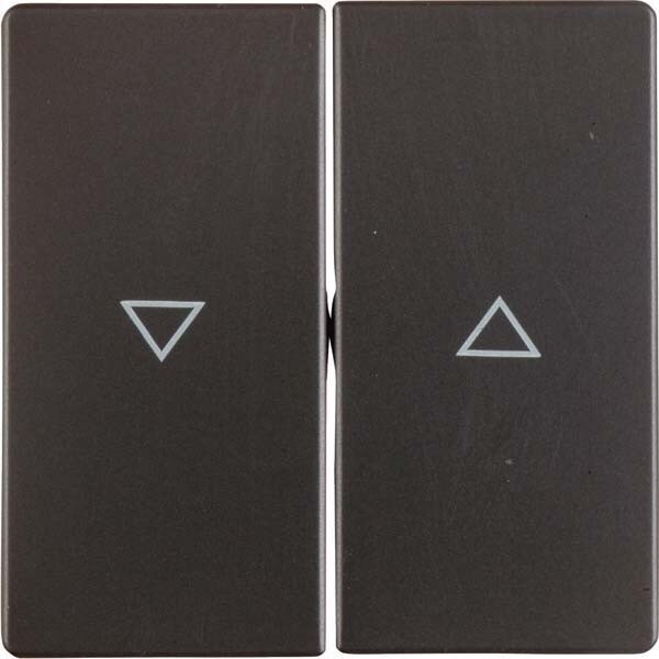 Berker Wippe anth/sa 16256086