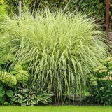 thumbnail of Relaxdays Beetzaun, 4-teilige Beetumrandung für Garten, Dekozaun Metall, antike Verzierungen, HxB: 32 x 186 cm, schwarz