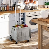 thumbnail of Relaxdays Einkaufstrolley Treppensteiger, klappbar, Einkaufskorb mit Rollen, Deckel, Teleskopgriff, bis 50 kg, weiß/grau