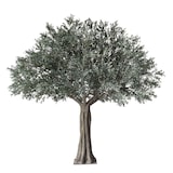 thumbnail of Olivo artificial premium 360 cm verde