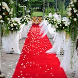 thumbnail of Rol rode loper 100 x 250 cm