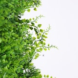 thumbnail of Jardín vertical artificial Verdehoja | Naturing Monde - 1x1M -Para interior y exterior - Material 100% HDPE alta calidad