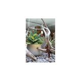 thumbnail of ZAS Beneito 7W IP65 quadratischer LED-Strahler, weiße Farbe