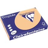 thumbnail of Clairefontaine Kopierpapier 1996C A3 80g aprikose 500Bl