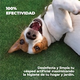thumbnail of LUCCY Higienizador Césped Artificial 20 litros | Limpiador para Césped Artificial Triple Acción para Negocios