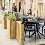 thumbnail of HORTALIA Kit Jardinera Alta con ruedas 100 x 34 x h80 cm con barandilla abatible de 100cm y cortavientos h60 cm