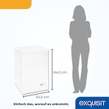 thumbnail of Exquisit Gefriertruhe, Kombigerät, Tiefkühltruhe, 98 Liter, 4-Sterne-Gefrieren, Gefriertruhe klein, Toplader, GT101-E-040E weiss