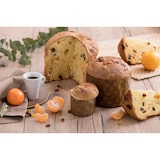 thumbnail of Moule panettone en papier Ø70 H50 par 100 pièces JORIDEAL