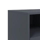 thumbnail of vidaXL TV-Schrank Anthrazit 68x39x60,5 cm Stahl