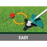 thumbnail of Freischneider AFS 23-37