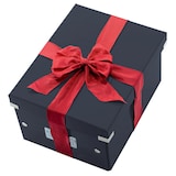 thumbnail of LEITZ WOW Click & Store Scatola Archivio con coperchio Large, F.to Cubo, per la Casa e l'Ufficio, nero, 61080095