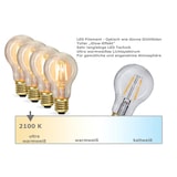 thumbnail of Illu- Party Garten Lichterkette Außenlichterkette 5m grün 5 LED Edison Filament