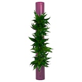 thumbnail of bigTube - violett - 65x7,5 cm