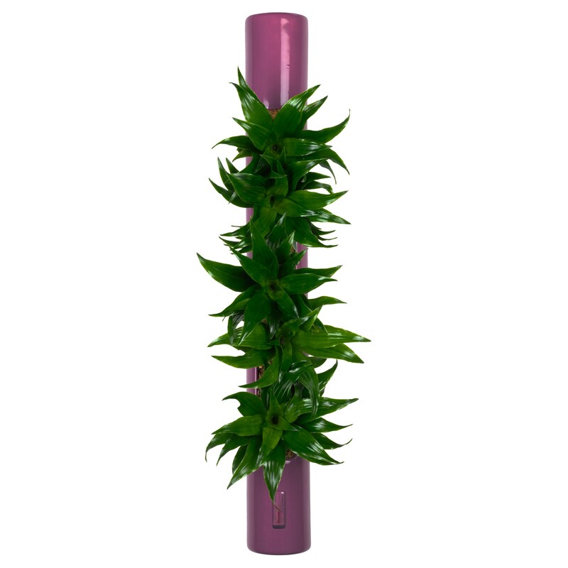 mobile_image