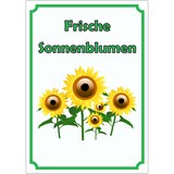 thumbnail of Sonnenblumen Aufkleber Hochkant A5 (148x210mm)